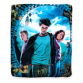 Cobertor Ligero Super Suave Matrimonial Diseños Providencia® Harry Potter El Prisionero De Azkaban 850 G Multicolor
