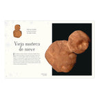 Libro Misterios Del Universo Will Gater Dorling Kindersley®