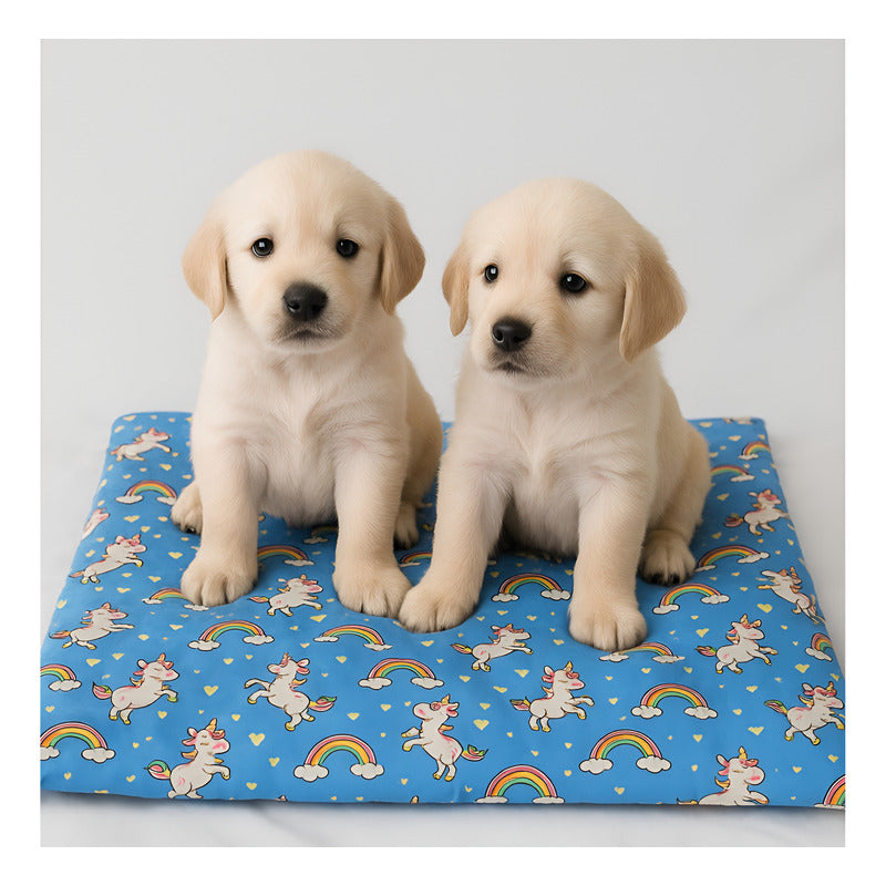 Tapete Estampado Y  Acolchado Transportadora Para Mascota
