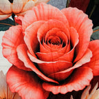 Cobertor Borrega Providencia® Matrimonial Diseños