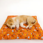 Tapete Estampado Y  Acolchado Transportadora Para Mascota