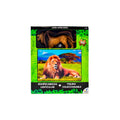 Leon Africano Rompecabezas Lenticular 100pz Y Figura Novelty