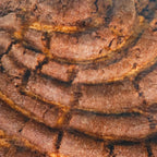 Frazada Divertida Circular Suave Marca Providencia® Marrón Concha Chocolate