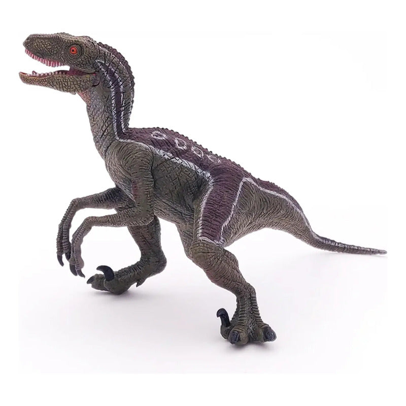 Figura Coleccionable Los Dinosaurios Velociraptor Papo®