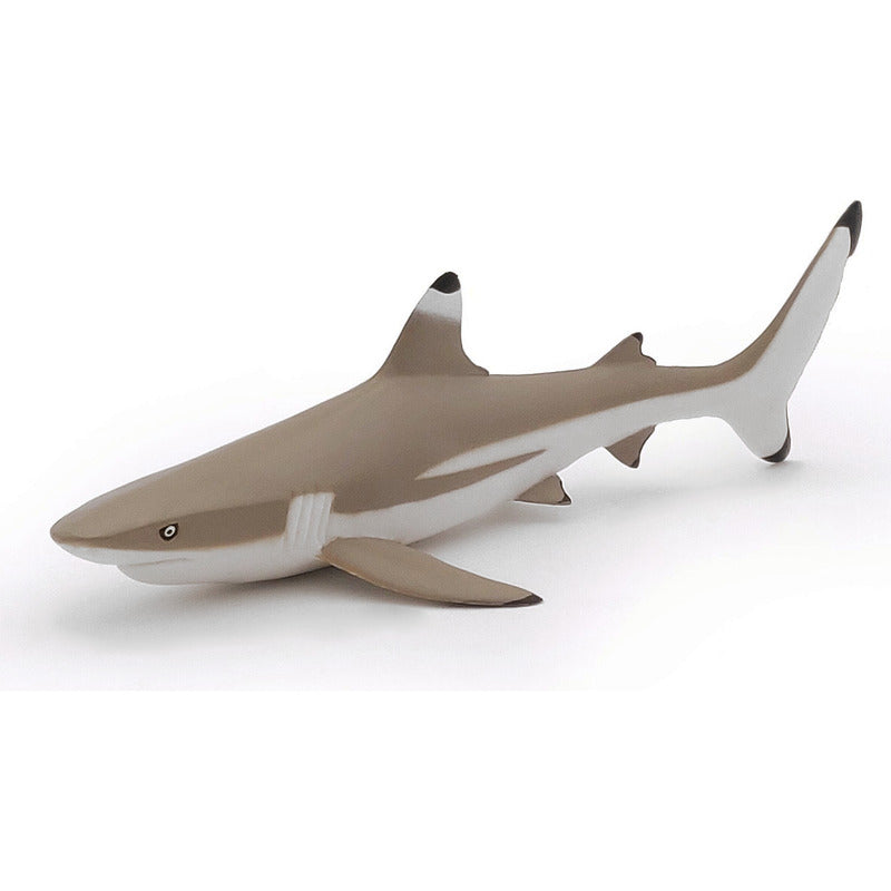 Figura Coleccionable Vida Marina Marca Papo®